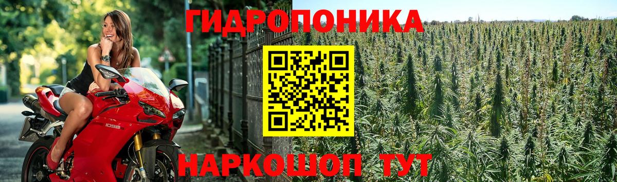 Анапа  Канабис план  Вход с VPN  Марихуана Ganja 